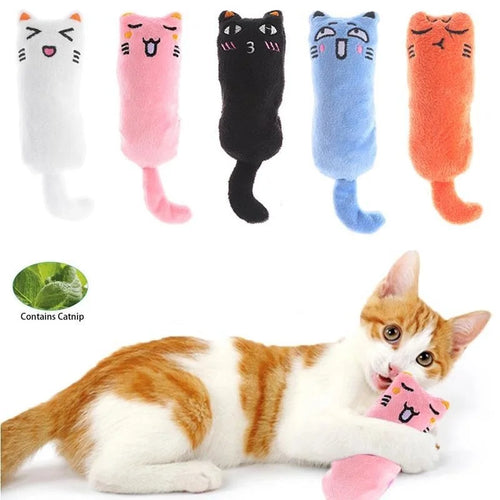 Catnip Plushy