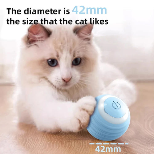 CatPlayBall